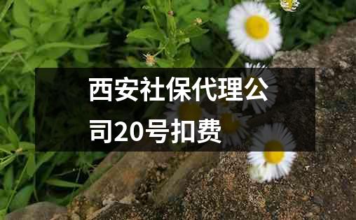 西安社保代理公司20号扣费