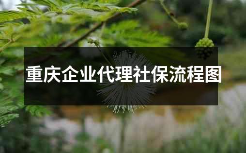 重庆企业代理社保流程图