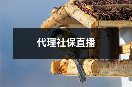 代理社保直播