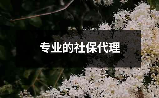 专业的社保代理