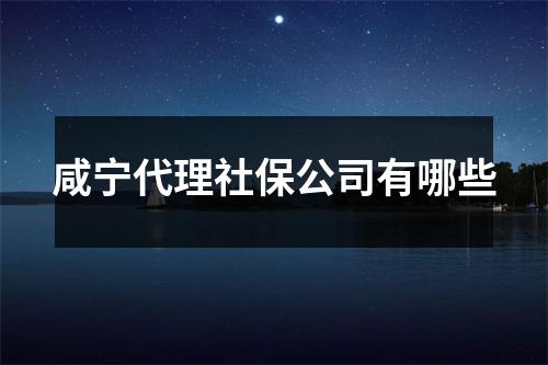 咸宁代理社保公司有哪些