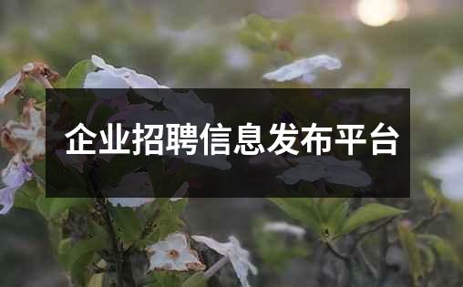 企业招聘信息发布平台