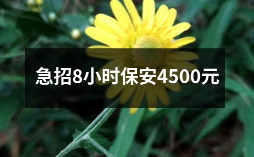 急招8小时保安4500元