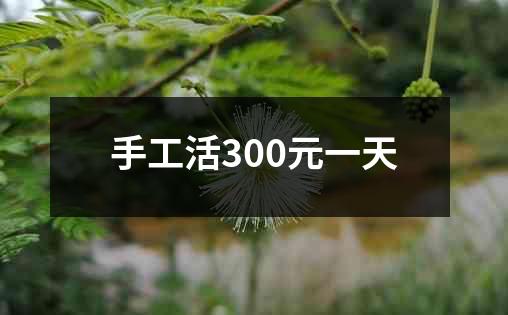 手工活300元一天