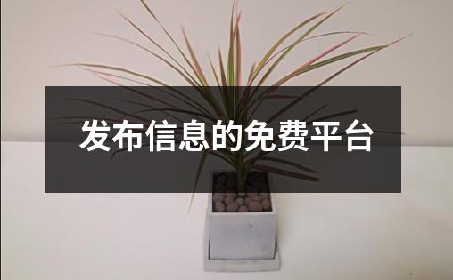 发布信息的免费平台