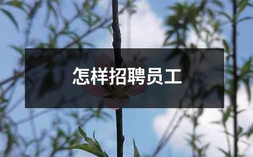 怎样招聘员工