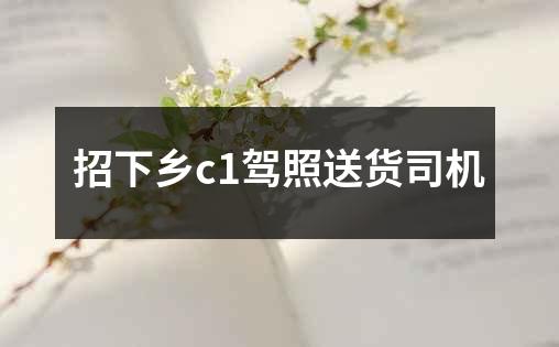 招下乡c1驾照送货司机