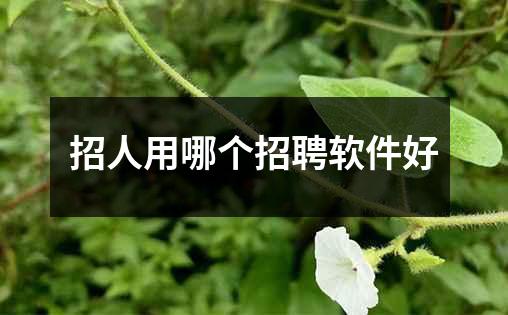 招人用哪个招聘软件好