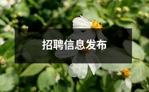 招聘信息发布