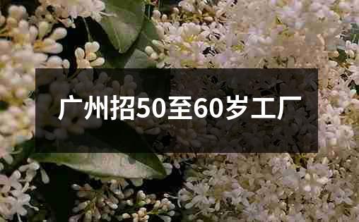 广州招50至60岁工厂