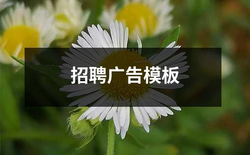 招聘广告模板