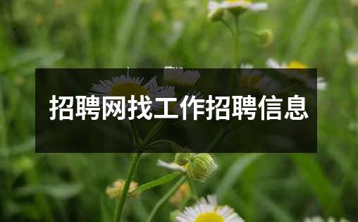 招聘网找工作招聘信息