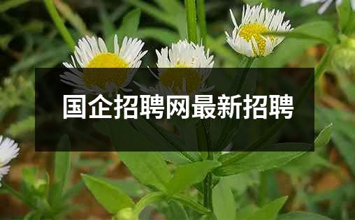 国企招聘网最新招聘