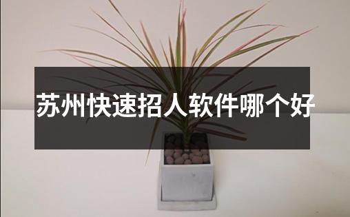 苏州快速招人软件哪个好