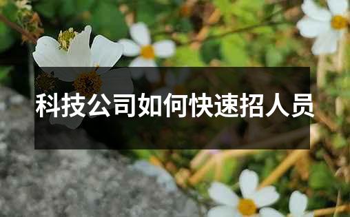 科技公司如何快速招人员