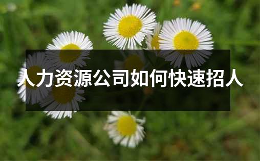 人力资源公司如何快速招人