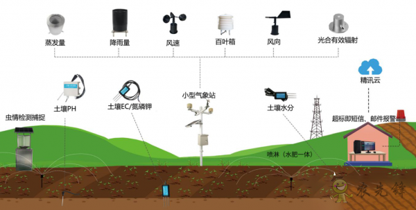 5G新基建建設(shè)加速現(xiàn)代農(nóng)業(yè)建設(shè)