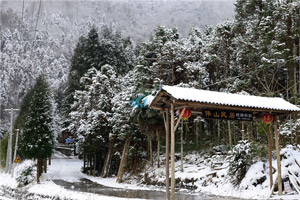 成都尊龙凯时基地之鸡冠山森林公园