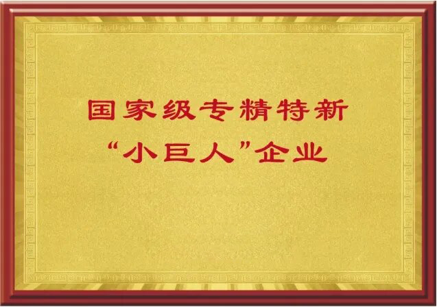 國家級專(zhuān)精特新“小巨人”企業(yè)