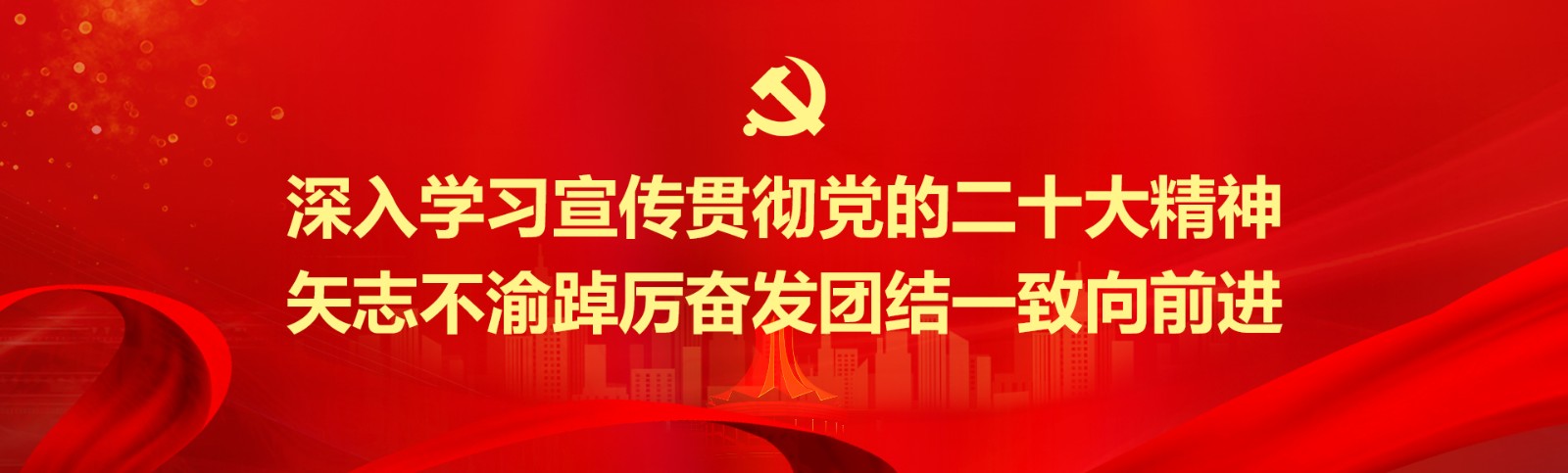 ​深入学习宣传贯彻党的二十大精神 矢志不渝踔厉奋发团结