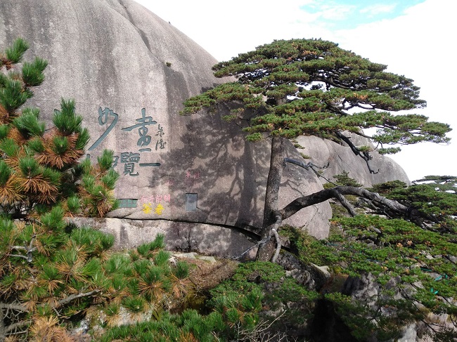 日登黄山，夜醉温泉！