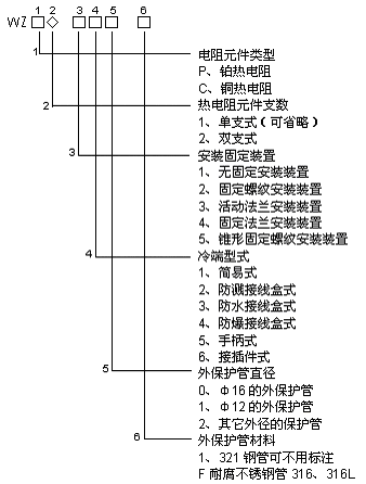 低溫耐磨雙支熱電阻WZP2N-2212A