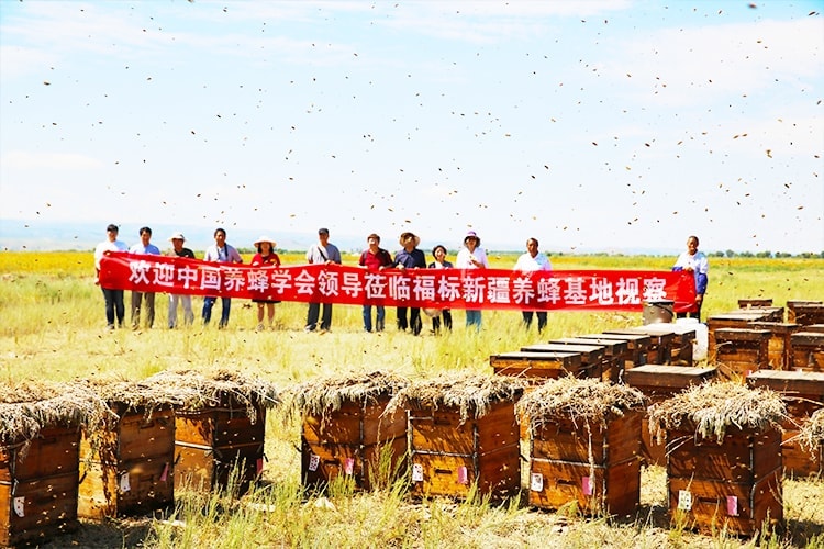 新疆養(yǎng)蜂基地塔城地區(qū)