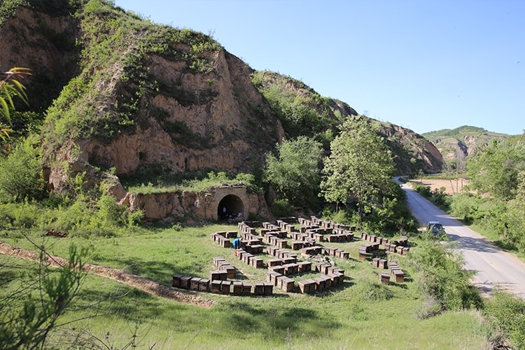 陜西省養(yǎng)蜂基地延安地區(qū)