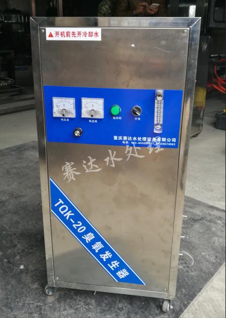 20g一体式臭氧发生器  氧气