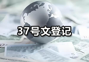 37号文登记