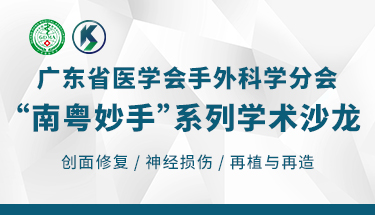 广东省医学会手外科学分会“南粤妙手”系列学术沙龙