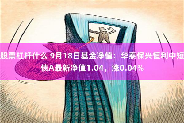 股票杠杆什么 9月18日基金净值：华泰保兴恒利中短债A最新净值1.04，涨0.04%