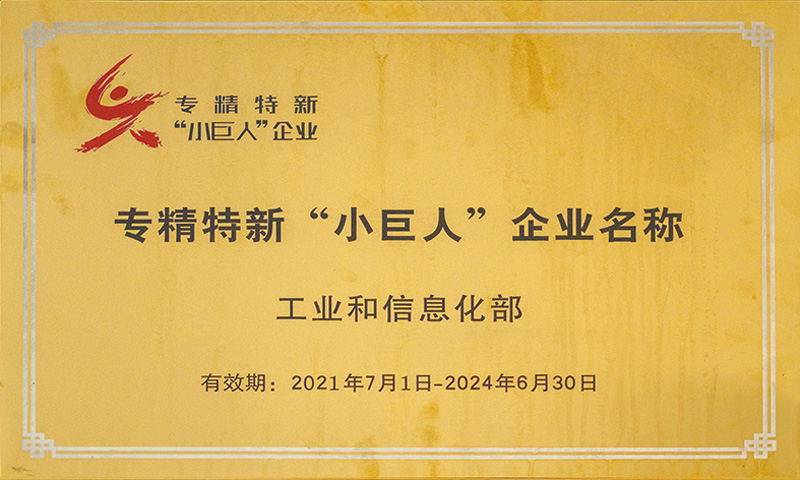 國家專精特新“小巨人”企業(yè)名稱