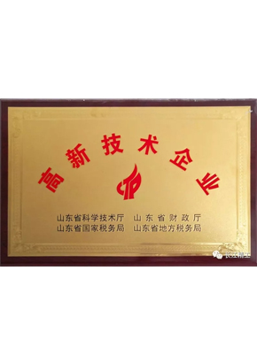 高新技術(shù)企業(yè)