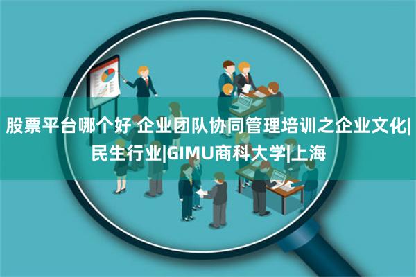 股票平台哪个好 企业团队协同管理培训之企业文化|民生行业|GIMU商科大学|上海