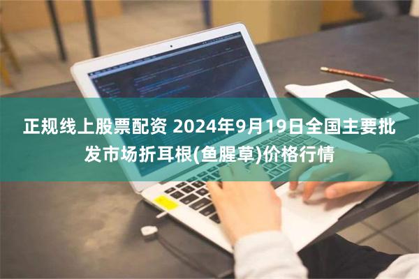 正规线上股票配资 2024年9月19日全国主要批发市场折耳根(鱼腥草)价格行情