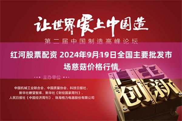 红河股票配资 2024年9月19日全国主要批发市场慈菇价格行情