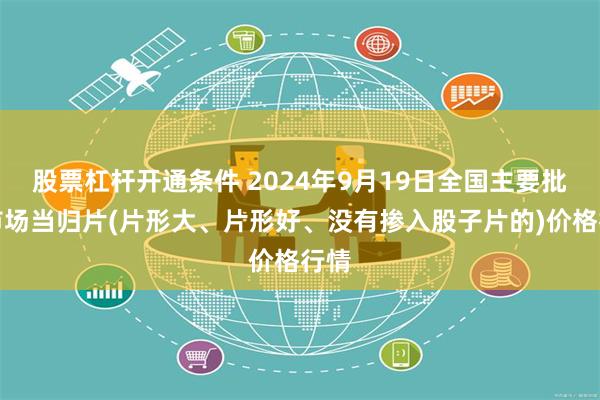 股票杠杆开通条件 2024年9月19日全国主要批发市场当归片(片形大、片形好、没有掺入股子片的)价格行情