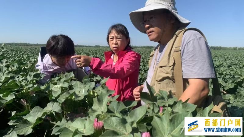 基地“一盘棋” 队伍“一张网” 西部中心聚力科技援疆(图1)