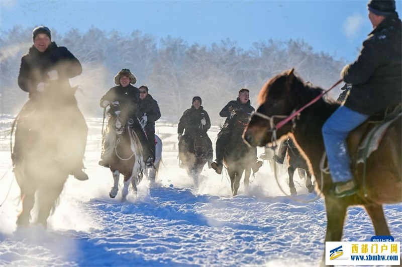 追着雪花看新疆丨冬闲变冬忙 “额河第一村”的华丽蝶变