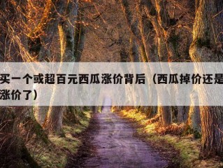 买一个或超百元西瓜涨价背后（西瓜掉价还是涨价了）