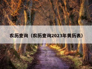 农历查询（农历查询2023年黄历表）