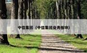 中信集团（中信集团业务板块）