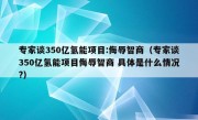 专家谈350亿氢能项目:侮辱智商（专家谈350亿氢能项目侮辱智商 具体是什么情况?）