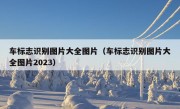 车标志识别图片大全图片（车标志识别图片大全图片2023）