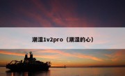 潮湿1v2pro（潮湿的心）