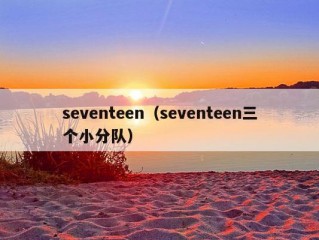 seventeen（seventeen三个小分队）
