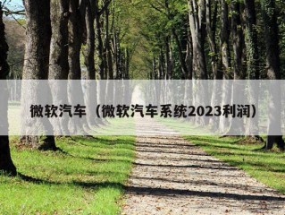 微软汽车（微软汽车系统2023利润）