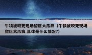 牛犊被咬死现场留巨大爪痕（牛犊被咬死现场留巨大爪痕 具体是什么情况?）