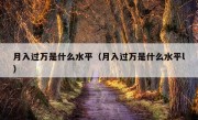 月入过万是什么水平（月入过万是什么水平l）